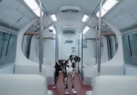 Neville Thomason VFX